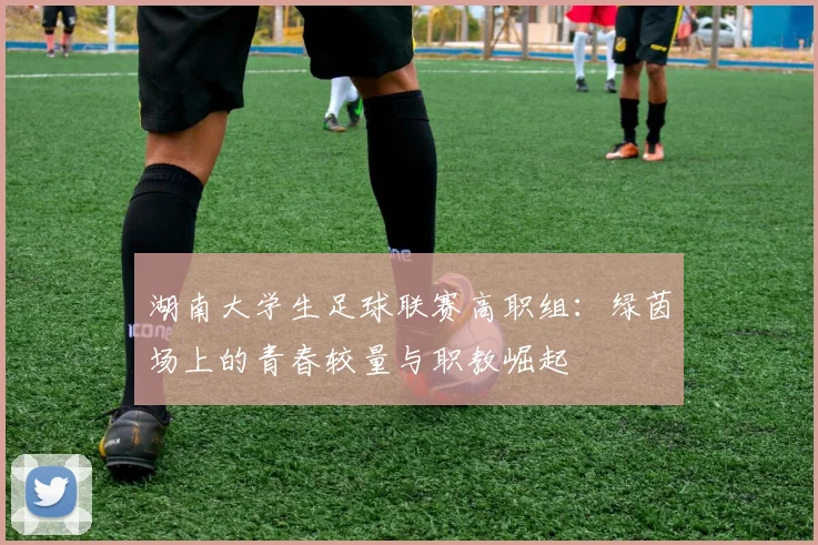 湖南大学生足球联赛高职组:绿茵场上的青春较量与职教崛起