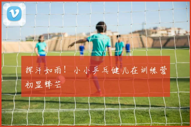 挥汗如雨!小小乒乓健儿在训练营初显锋芒
