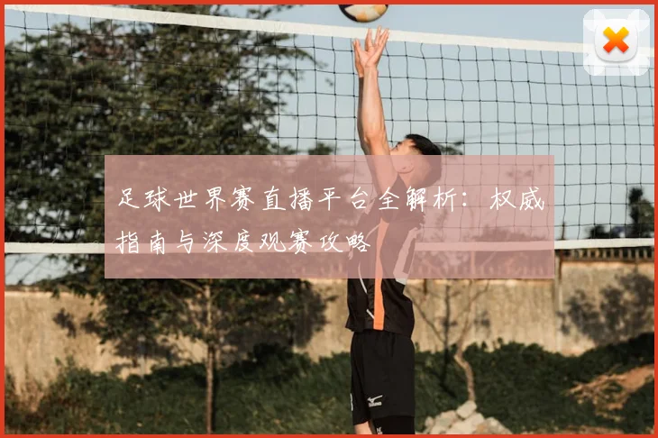 足球世界赛直播平台全解析：权威指南与深度观赛攻略